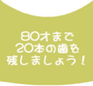 80�΂܂�20�{�̎����c���܂��傤